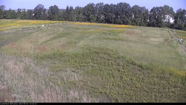 Cell 3_23-09-05_10-28-21-89