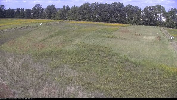 Cell 3_23-09-05_12-42-21-86