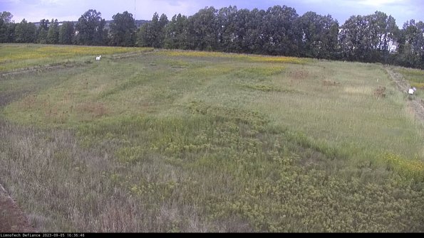 Cell 3_23-09-05_16-36-47-11