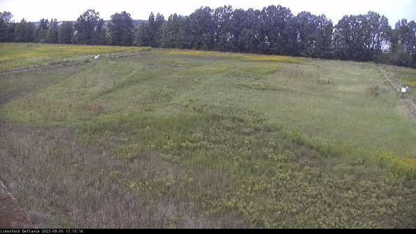 Cell 3_23-09-05_17-10-16-87