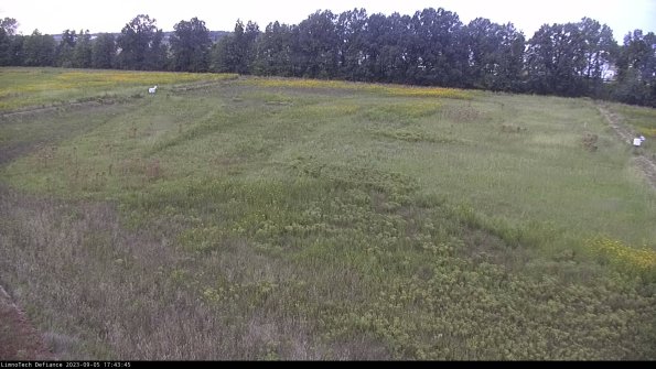 Cell 3_23-09-05_17-43-45-89