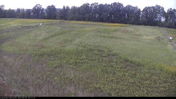 Cell 3_23-09-05_18-17-15-14