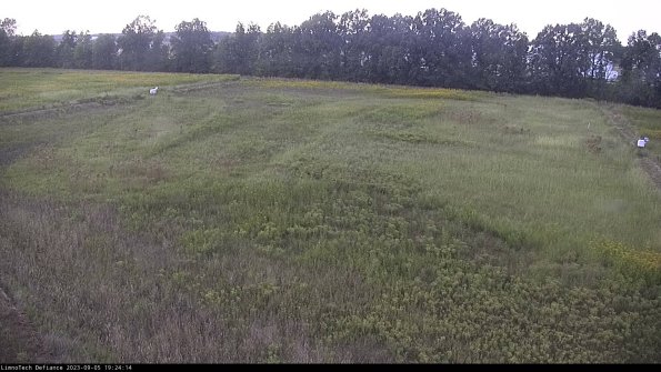 Cell 3_23-09-05_19-24-14-88