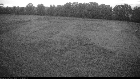 Cell 3_23-09-05_20-31-14-85