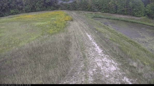 Cell 4 to Basin_23-09-05_15-30-46-87