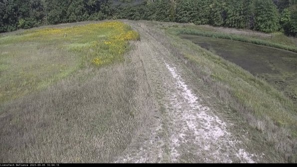 Cell 4 to Basin_23-09-05_16-04-15-89