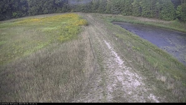 Cell 4 to Basin_23-09-05_19-25-12-87