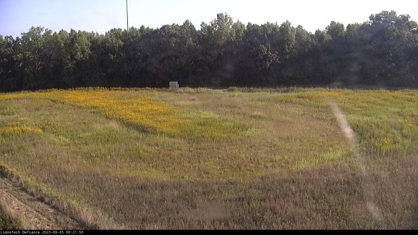 Cell 4_23-09-05_09-21-50-88