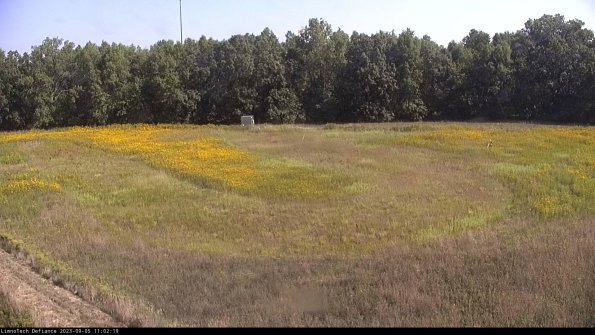 Cell 4_23-09-05_11-02-19-87