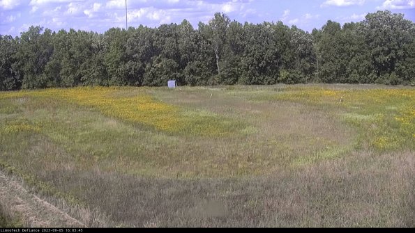 Cell 4_23-09-05_16-03-45-89