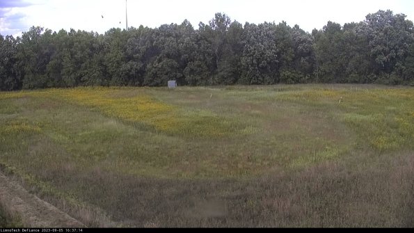 Cell 4_23-09-05_16-37-14-87