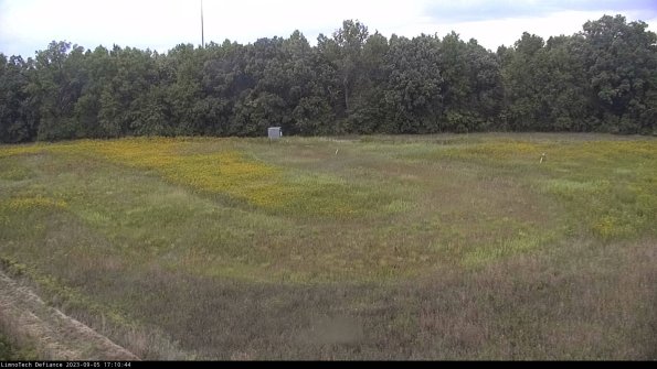 Cell 4_23-09-05_17-10-44-86