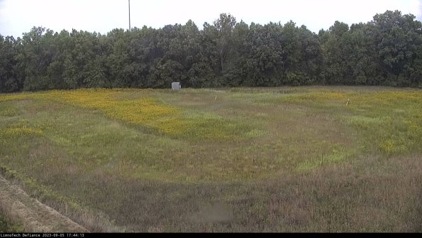 Cell 4_23-09-05_17-44-13-88