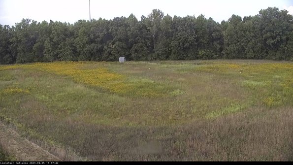 Cell 4_23-09-05_18-17-42-90