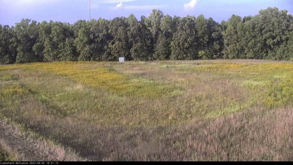 Cell 4_23-09-05_18-51-12-89