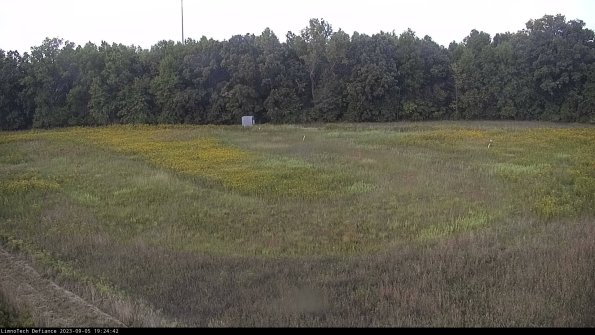 Cell 4_23-09-05_19-24-42-87