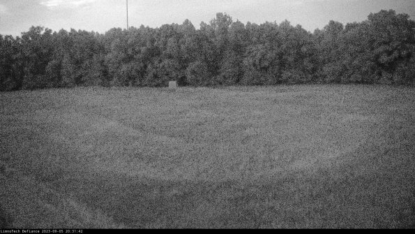 Cell 4_23-09-05_20-31-42-88