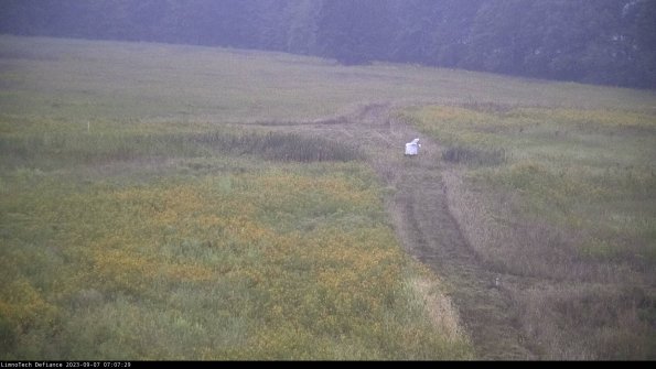 Cell 1 to 2_23-09-07_07-07-29-86