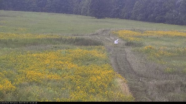 Cell 1 to 2_23-09-07_10-28-28-88