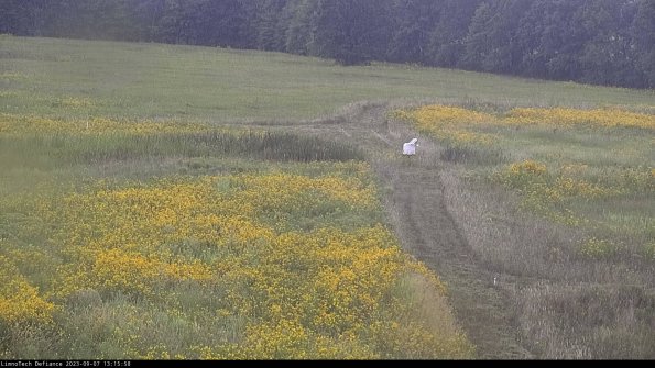 Cell 1 to 2_23-09-07_13-15-58-88