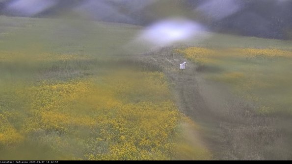 Cell 1 to 2_23-09-07_14-22-57-89