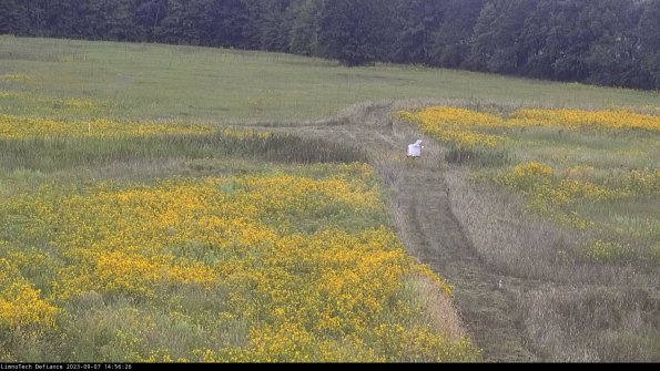 Cell 1 to 2_23-09-07_14-56-26-88