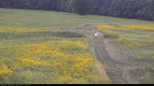 Cell 1 to 2_23-09-07_16-03-27-92