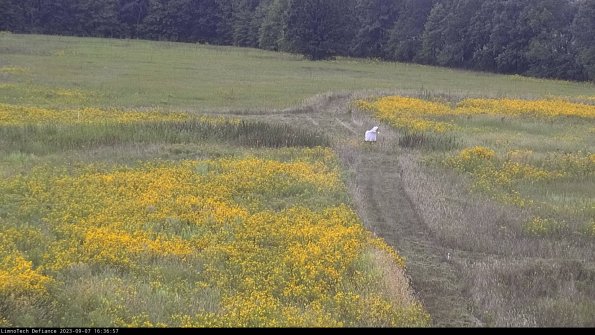 Cell 1 to 2_23-09-07_16-36-57-91