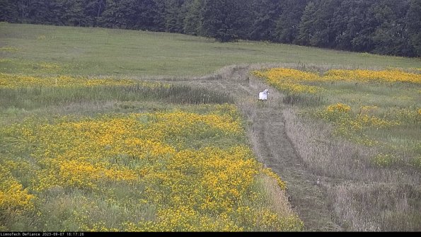 Cell 1 to 2_23-09-07_18-17-26-90