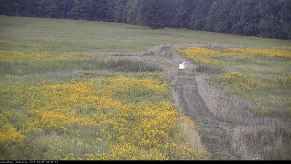 Cell 1 to 2_23-09-07_18-50-55-89