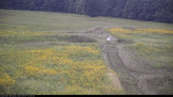 Cell 1 to 2_23-09-07_19-24-26-87