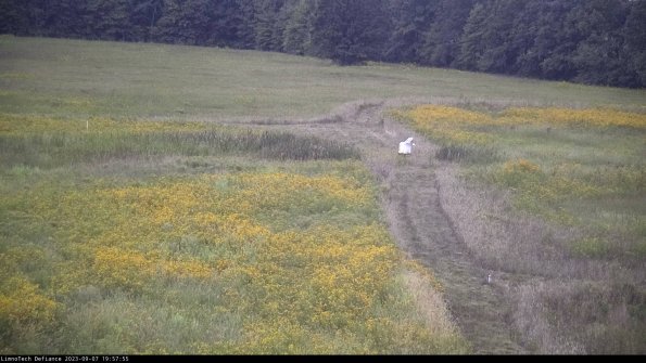 Cell 1 to 2_23-09-07_19-57-55-89