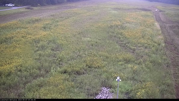 Cell 1_23-09-07_07-40-45-86