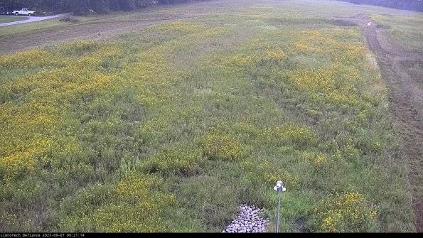 Cell 1_23-09-07_09-21-14-86