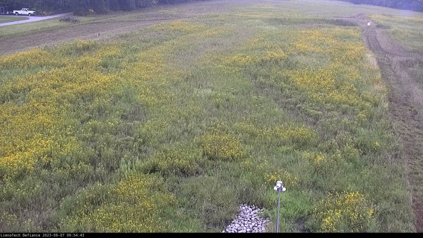 Cell 1_23-09-07_09-54-43-88