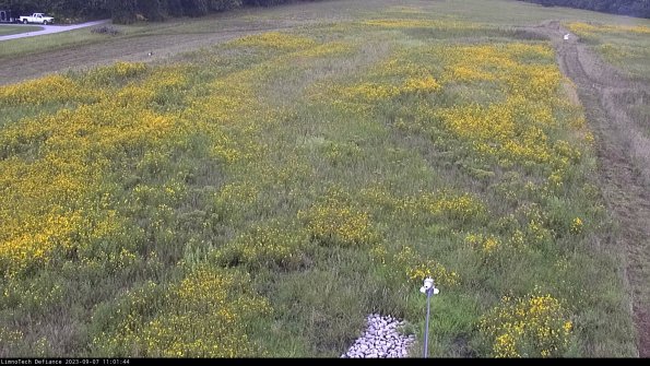 Cell 1_23-09-07_11-01-44-85