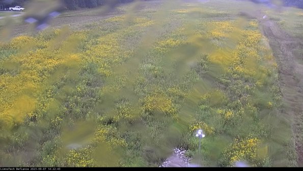 Cell 1_23-09-07_14-22-43-88