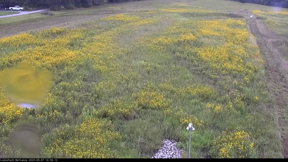 Cell 1_23-09-07_14-56-12-89