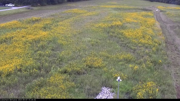 Cell 1_23-09-07_15-29-42-92