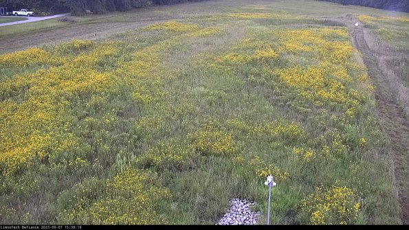 Cell 1_23-09-07_15-38-19-94