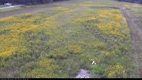 Cell 1_23-09-07_16-36-43-92