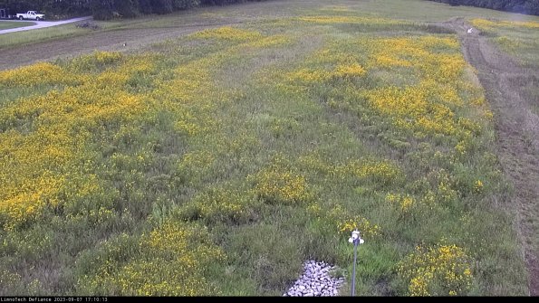 Cell 1_23-09-07_17-10-13-88