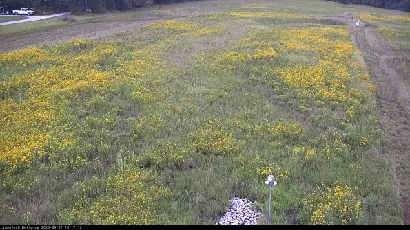 Cell 1_23-09-07_18-17-12-89