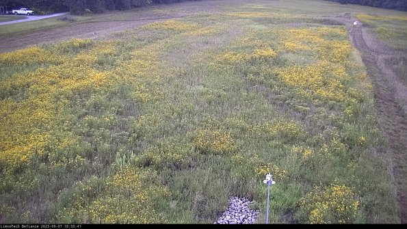 Cell 1_23-09-07_18-50-41-87