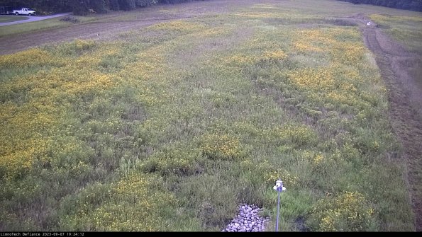 Cell 1_23-09-07_19-24-12-86