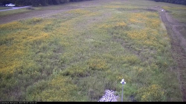 Cell 1_23-09-07_19-57-41-88