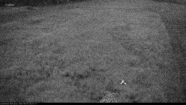 Cell 1_23-09-07_20-31-11-87