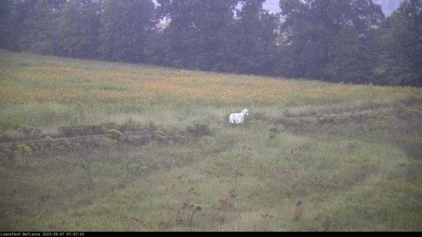 Cell 2 to 3_23-09-07_07-07-56-08