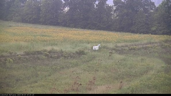 Cell 2 to 3_23-09-07_07-41-25-94