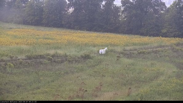 Cell 2 to 3_23-09-07_09-21-55-03